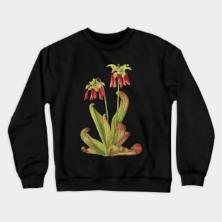 Parrot Pitcherplant - Sarracenia Psittacina - Walcott - Botanical Illustration Crewneck Sweatshirt